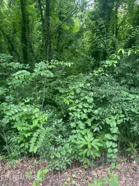 0 Aster Ave S, Chattanooga, TN 37419
