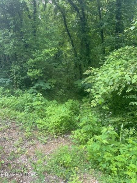 0 Aster Ave S, Chattanooga, TN 37419