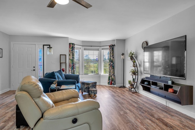 living room with ceiling fan and hardwood / wood-style flooring