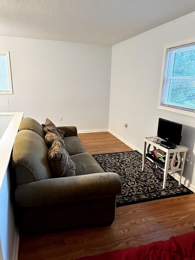 living room with hardwood / wood-style floors