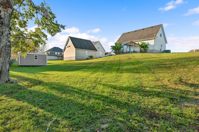 view of yard with a storage unit