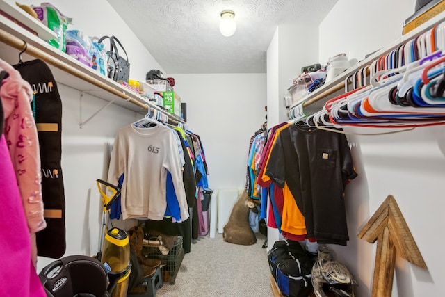 spacious closet with carpet