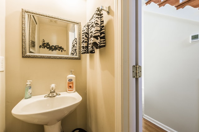 bathroom featuring sink and wood-type flooring