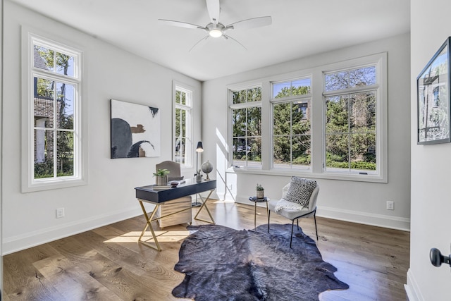 living area with dark hardwood / wood-style floors and a wealth of natural light