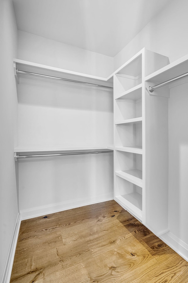 spacious closet featuring wood-type flooring