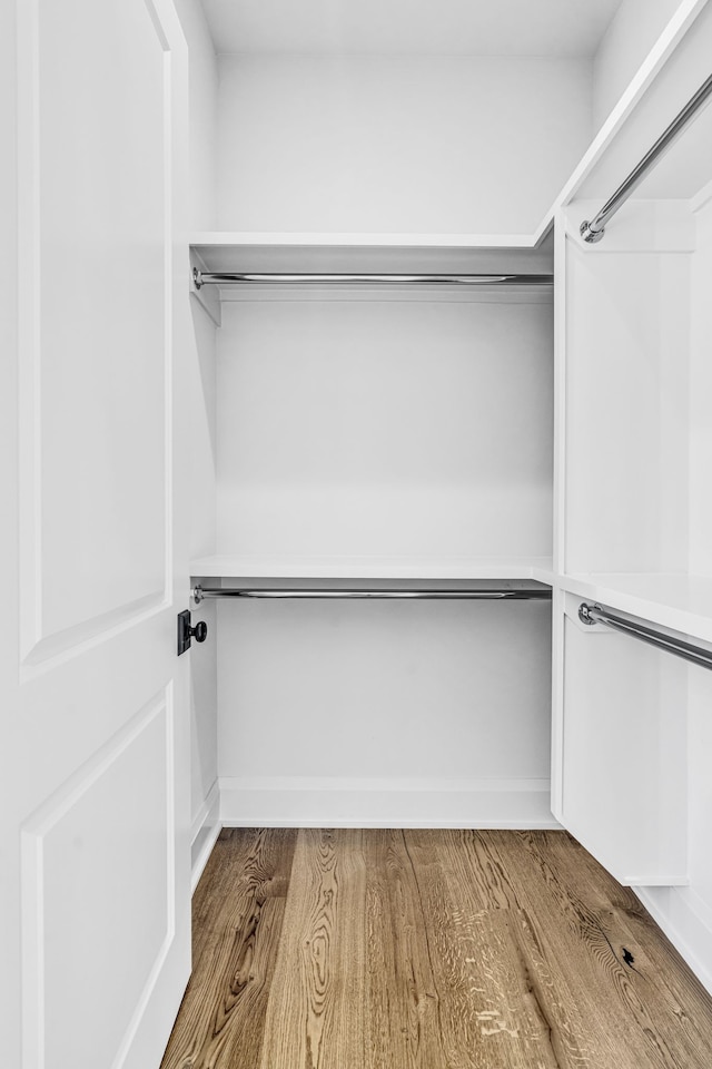 spacious closet with wood-type flooring