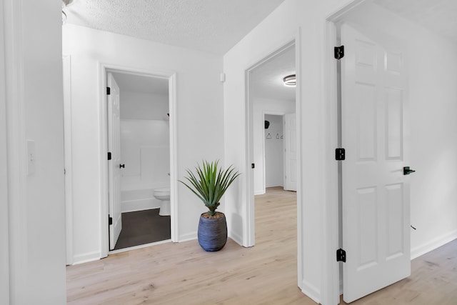 corridor with a textured ceiling and light wood-type flooring