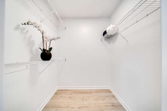 walk in closet featuring hardwood / wood-style flooring