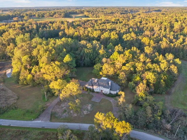 1200 Sand Ridge Bargerton Rd, Lexington, TN 38351 - photo 56