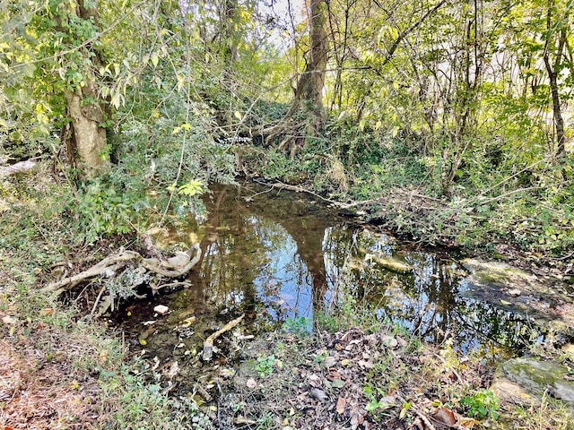 view of landscape