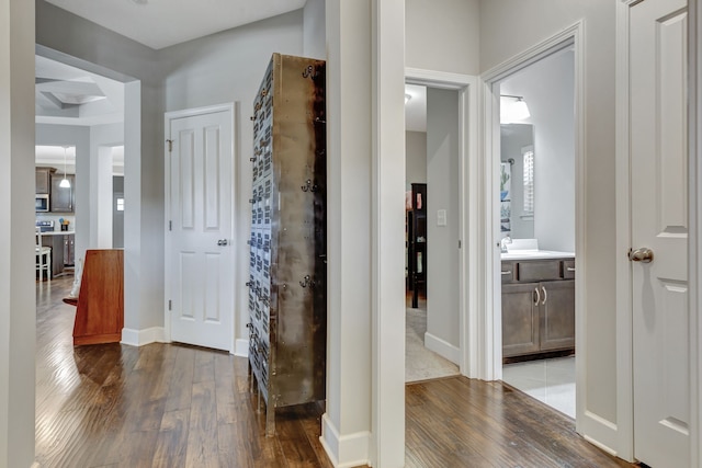 hallway featuring wood-type flooring