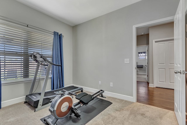 exercise area featuring carpet flooring