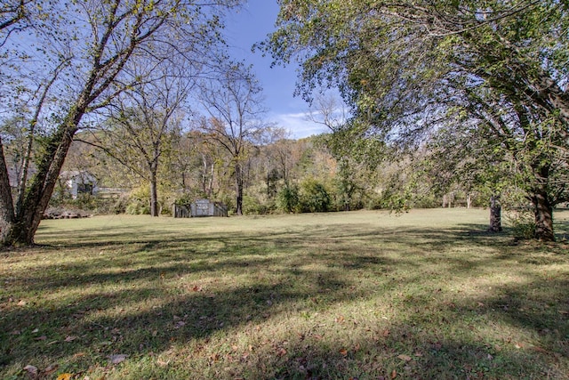 view of yard featuring a shed