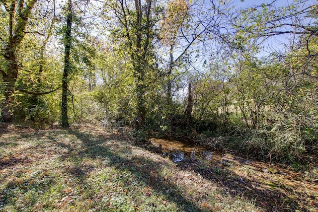 4453 Pecan Valley Rd, Nashville, TN 37218 - photo 30