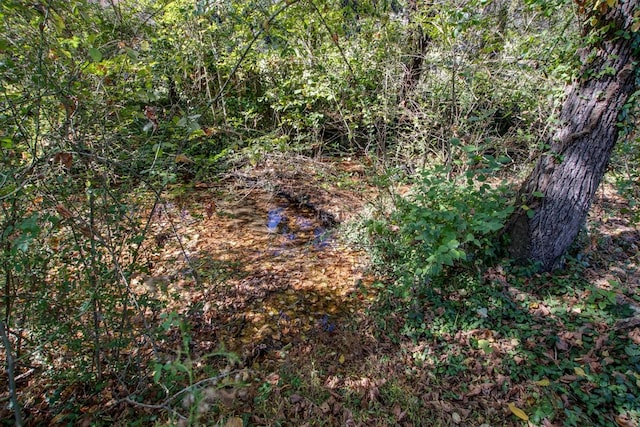 4453 Pecan Valley Rd, Nashville, TN 37218 - photo 29