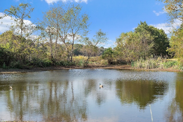 property view of water