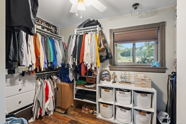 walk in closet featuring dark hardwood / wood-style floors and ceiling fan