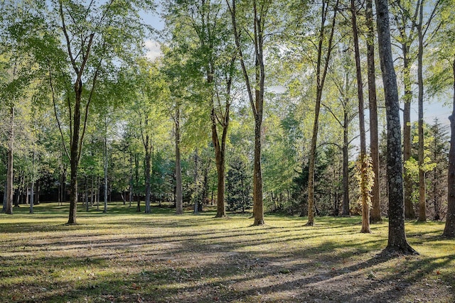 1315 Chatsworth Blvd, Cookeville, TN 38501 - photo 6