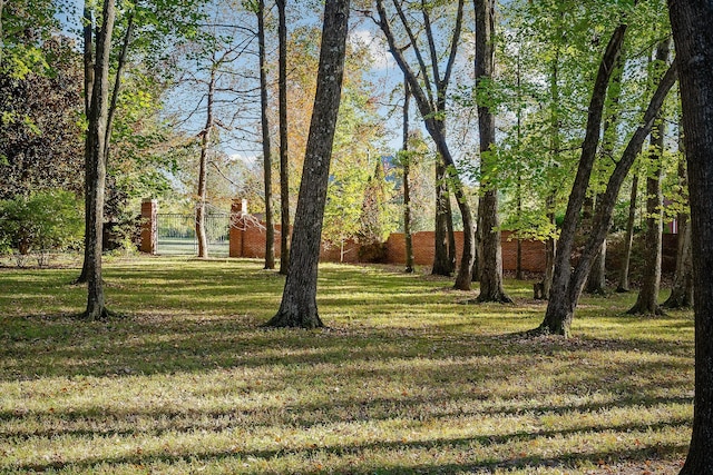 1315 Chatsworth Blvd, Cookeville, TN 38501 - photo 59