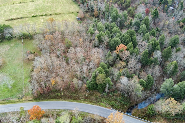 bird's eye view