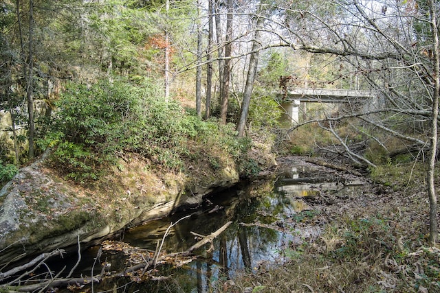 view of local wilderness