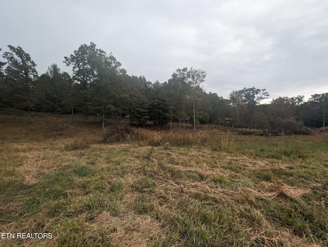 370 Perkins Trl, Deer Lodge, TN 37726 - photo 18