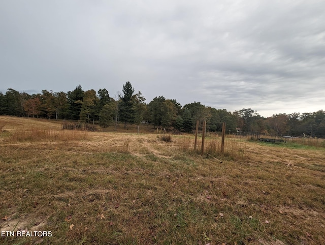 370 Perkins Trl, Deer Lodge, TN 37726 - photo 6
