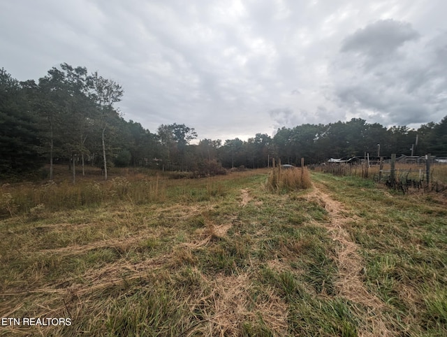370 Perkins Trl, Deer Lodge, TN 37726 - photo 19