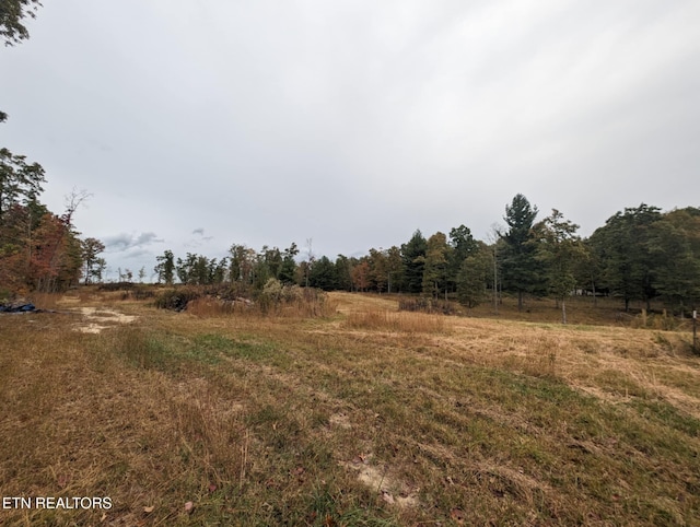 370 Perkins Trl, Deer Lodge, TN 37726 - photo 7