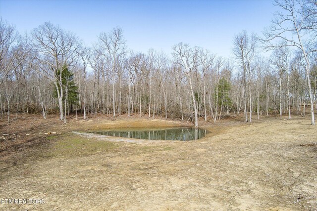 372 Perkins Trl, Deer Lodge, TN 37726