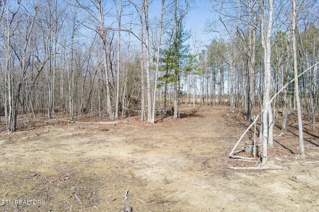 372 Perkins Trl, Deer Lodge, TN 37726