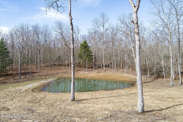 372 Perkins Trl, Deer Lodge, TN 37726