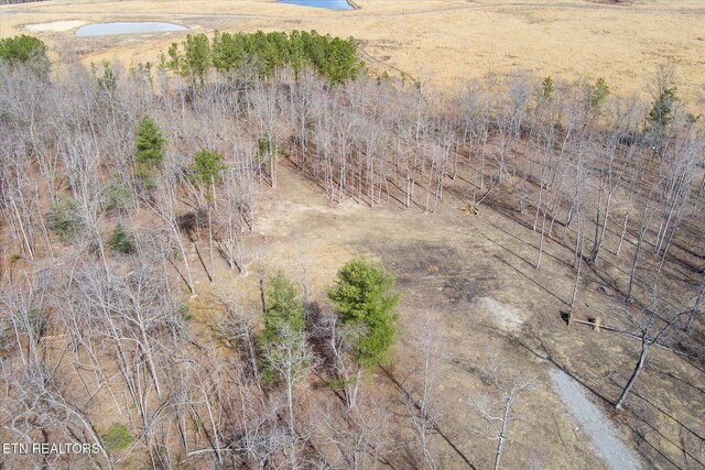 372 Perkins Trl, Deer Lodge, TN 37726
