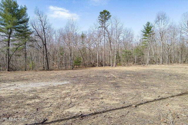 372 Perkins Trl, Deer Lodge, TN 37726
