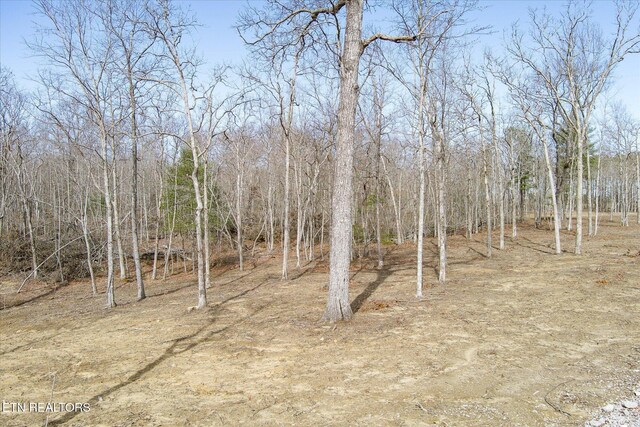 372 Perkins Trl, Deer Lodge, TN 37726