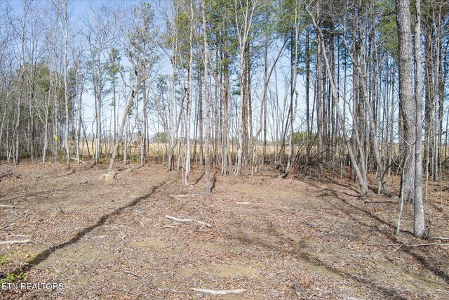 372 Perkins Trl, Deer Lodge, TN 37726