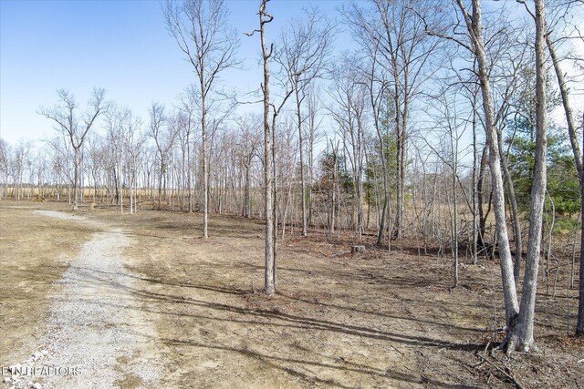 372 Perkins Trl, Deer Lodge, TN 37726