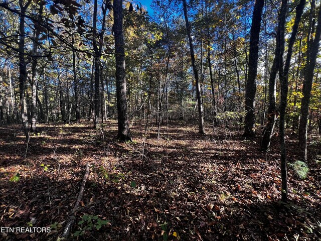 1320 Black Cloud Dr, Crossville, TN 38572 - photo 1