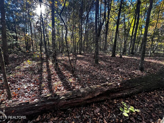 1320 Black Cloud Dr, Crossville, TN 38572 - photo 9