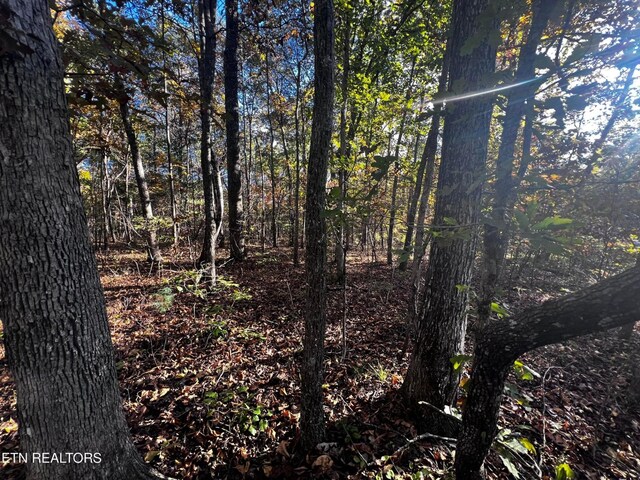 1320 Black Cloud Dr, Crossville, TN 38572 - photo 11