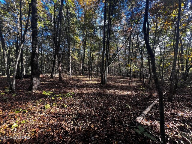 1320 Black Cloud Dr, Crossville, TN 38572 - photo 8
