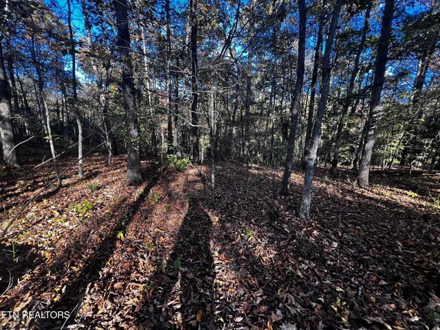 1320 Black Cloud Dr, Crossville, TN 38572 - photo 4