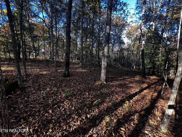 1320 Black Cloud Dr, Crossville, TN 38572 - photo 5