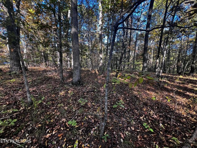 1320 Black Cloud Dr, Crossville, TN 38572 - photo 6