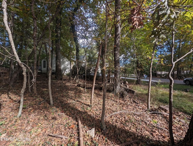 117 Juniper Dr, Crossville, TN 38558 - photo 2