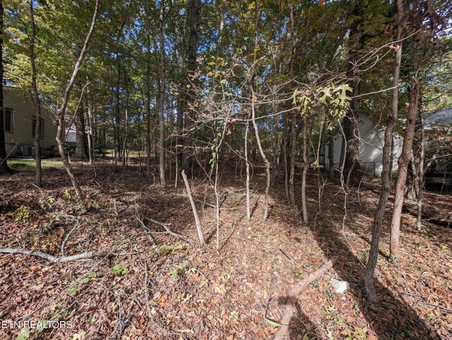 117 Juniper Dr, Crossville, TN 38558 - photo 4