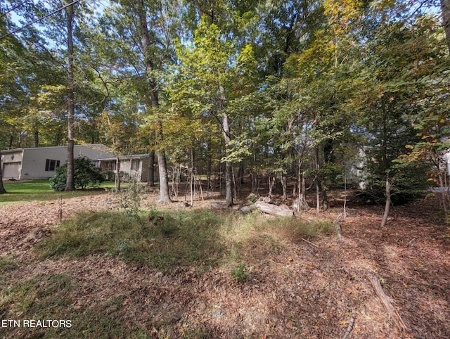 117 Juniper Dr, Crossville, TN 38558 - photo 8