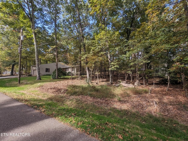 117 Juniper Dr, Crossville, TN 38558 - photo 6