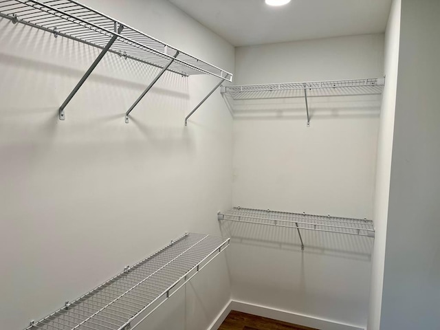 spacious closet with dark hardwood / wood-style flooring