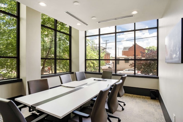 carpeted home office with a healthy amount of sunlight and a wall of windows